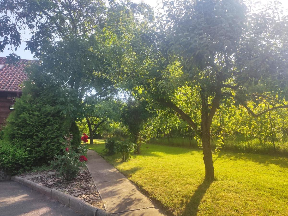 Vendeghaz A Hegyen Villa Budapest Ngoại thất bức ảnh